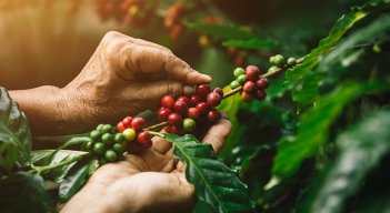 Café de Colombia. / Foto: cortesía