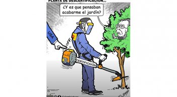 Planta de descertificación