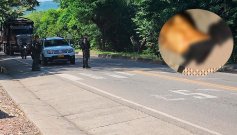 El cuerpo fue encontrado al margen de la vía que comunica a La Ye Astilleros, en El Zulia, con Tibú. / Foto: Cortesía