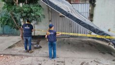 Daños vendaval.