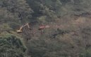 Denuncian que en Chinácota se construye carretera sin permisos, dice el alcalde Ramiro Luna/Foto Cortesía
