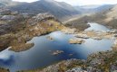Delimitar el ecosistema por etapas y la creación de nuevas áreas de reserva forestal.